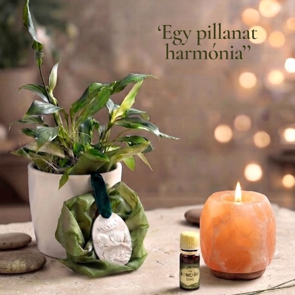 botanichome